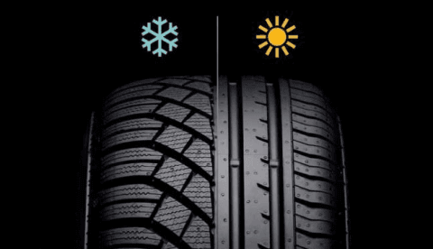 Gomme estive Gomme estive
