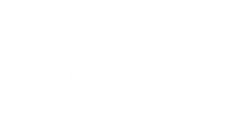 A white background with a few lines on it