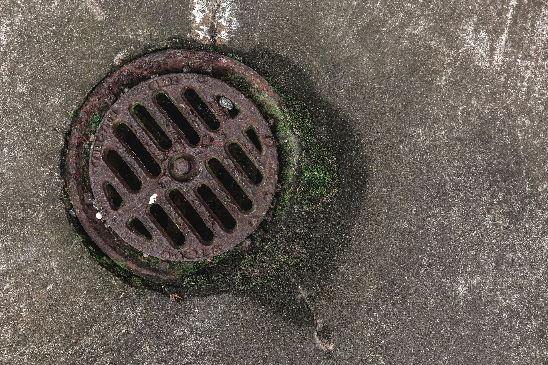 Round metal drain grate on cracked concrete, with green moss around the edge.