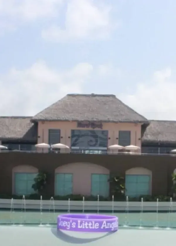 Building with a thatched roof, blue sky background; purple bracelet in foreground.