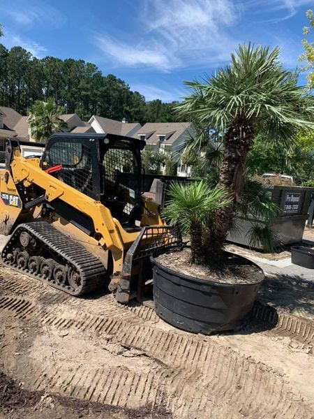 Yellow skid steer carrying a potted palm tree on a construction site.