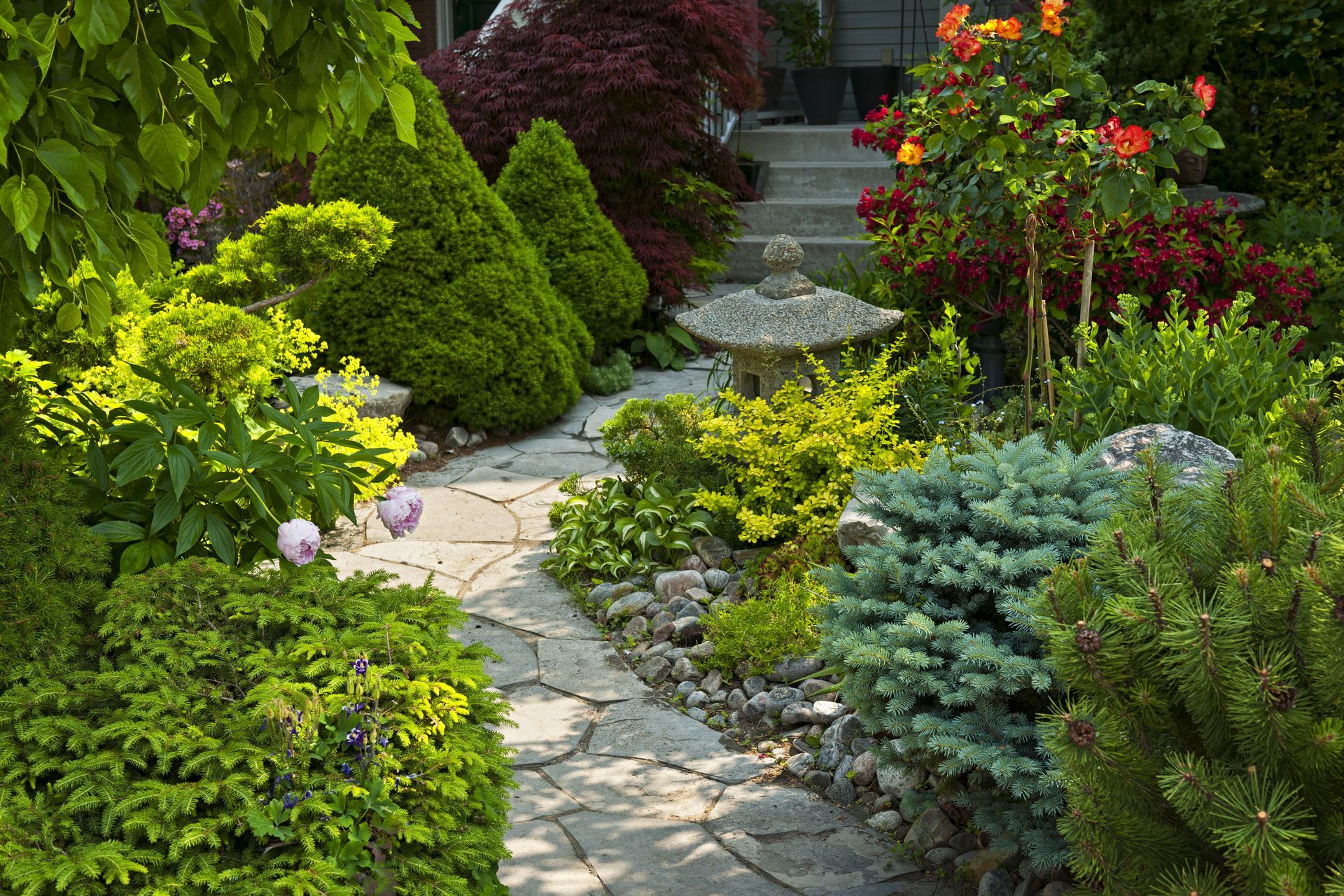 Stone path winds through lush, colorful garden, leading to steps, with diverse plants and a stone lantern.