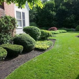 Trimmed shrubs and green lawn beside a brick house in a landscaped yard