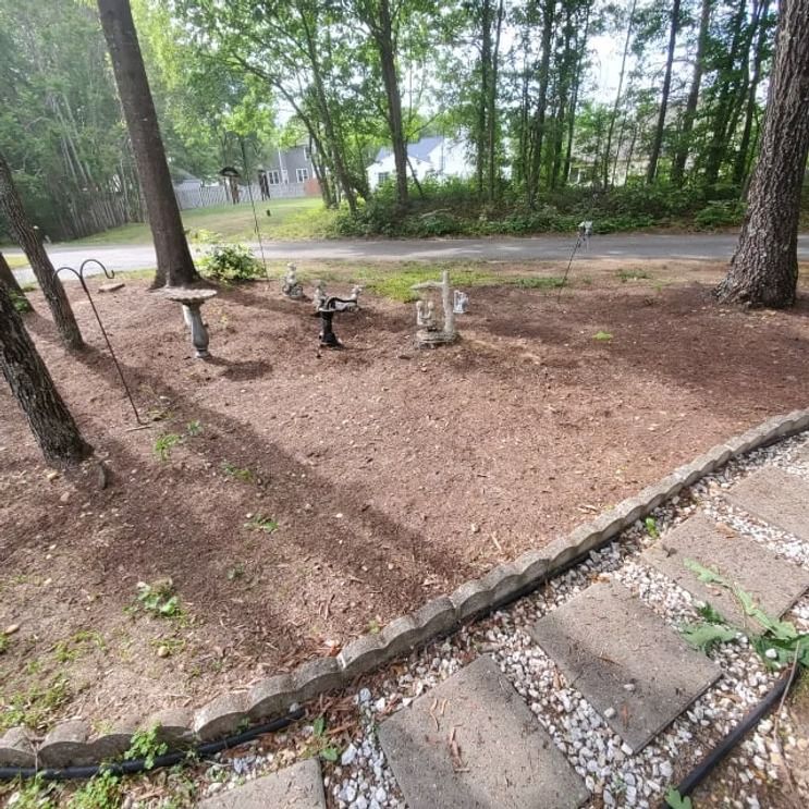 Wooded yard with small birdbath statues, a curved stone border, and steps in the foreground
