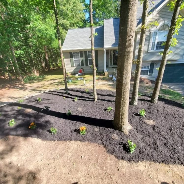 Freshly mulched front yard with newly planted flowers and trees beside a house
