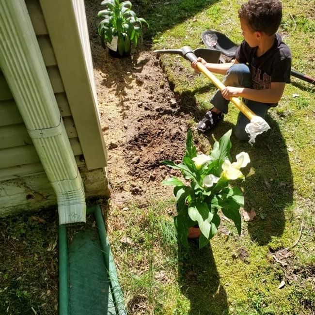 Person digging soil beside a house with a shovel, near potted flowers in a sunny yard