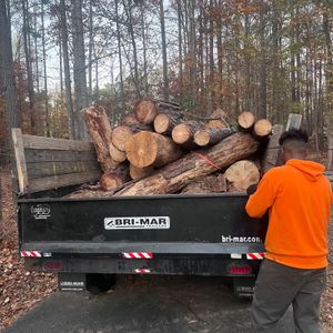 Black BRI-MAR trailer loaded with cut logs in a wooded area; person in orange hoodie stands beside it