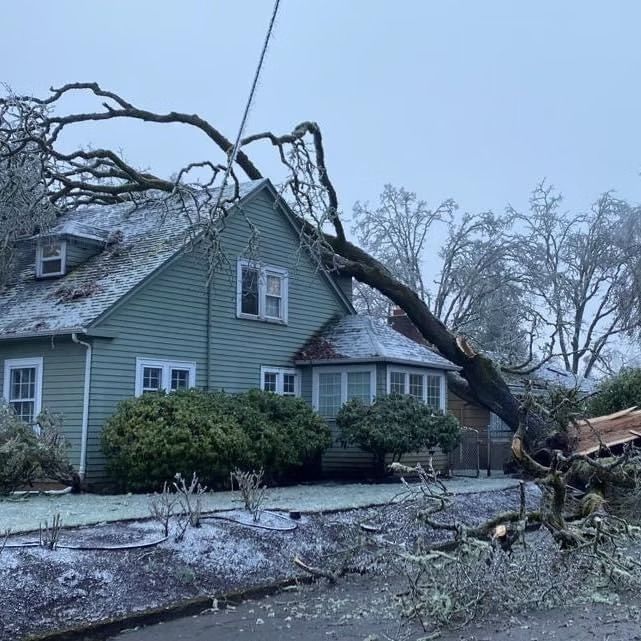 Snow-dusted house with a large tree fallen across the roof and yard after a storm.