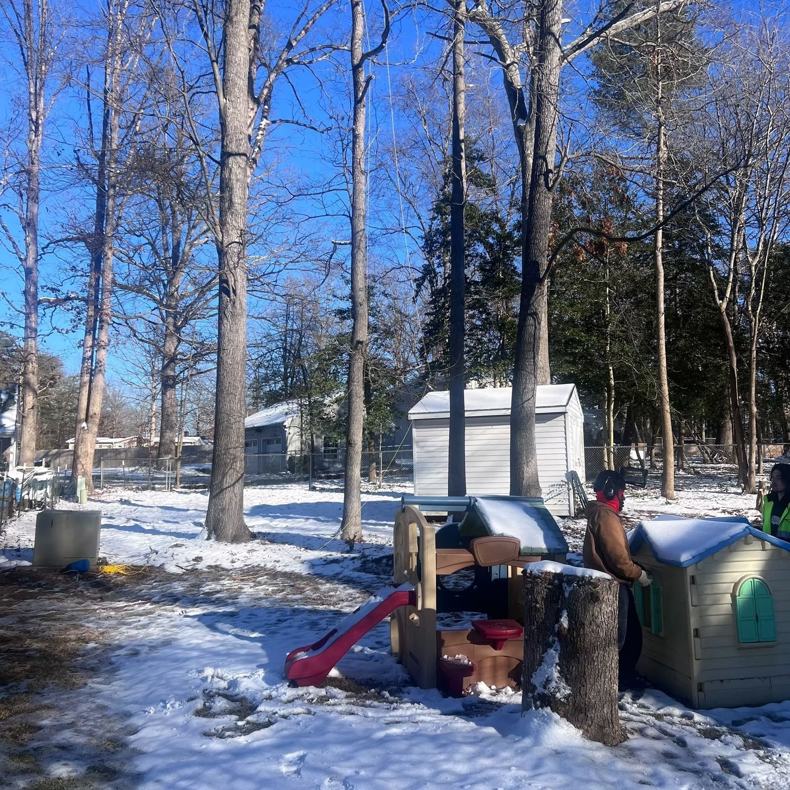 Snowy backyard with tall bare trees and a small playset beside sheds under a bright blue sky