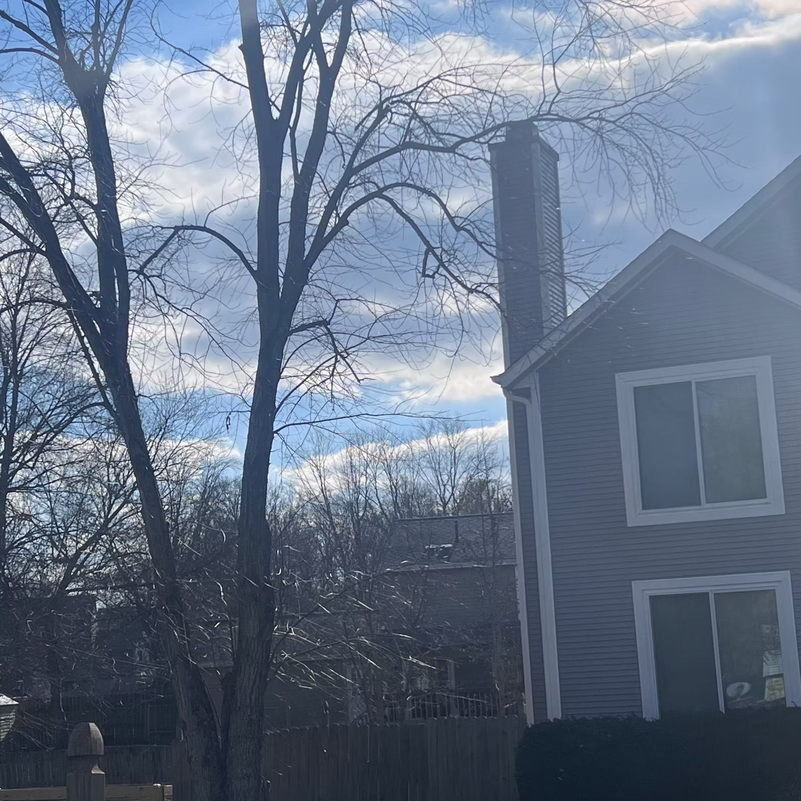 Leafless trees beside a gray house with a tall chimney under a bright, cloudy blue sky.