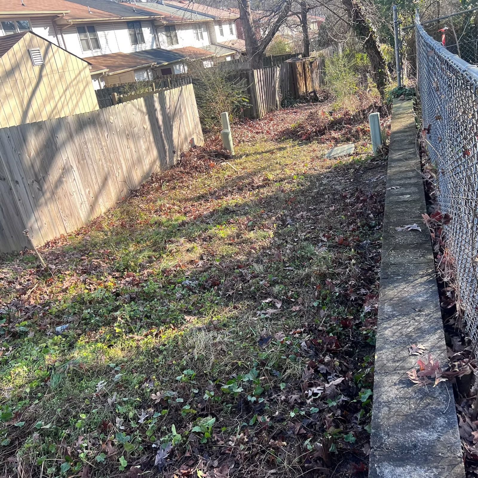 Narrow weedy backyard beside a chain-link fence, with houses and trees in the background.