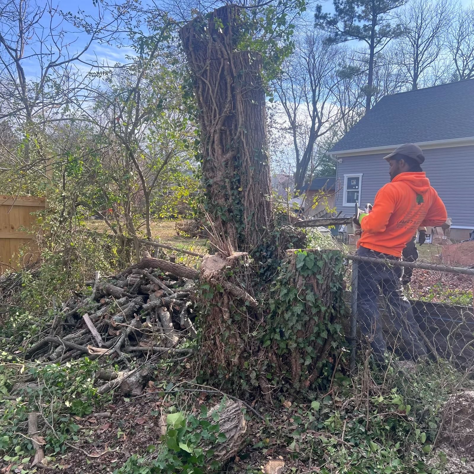 Person in an orange hoodie trimming overgrown vines beside a fence in a backyard.