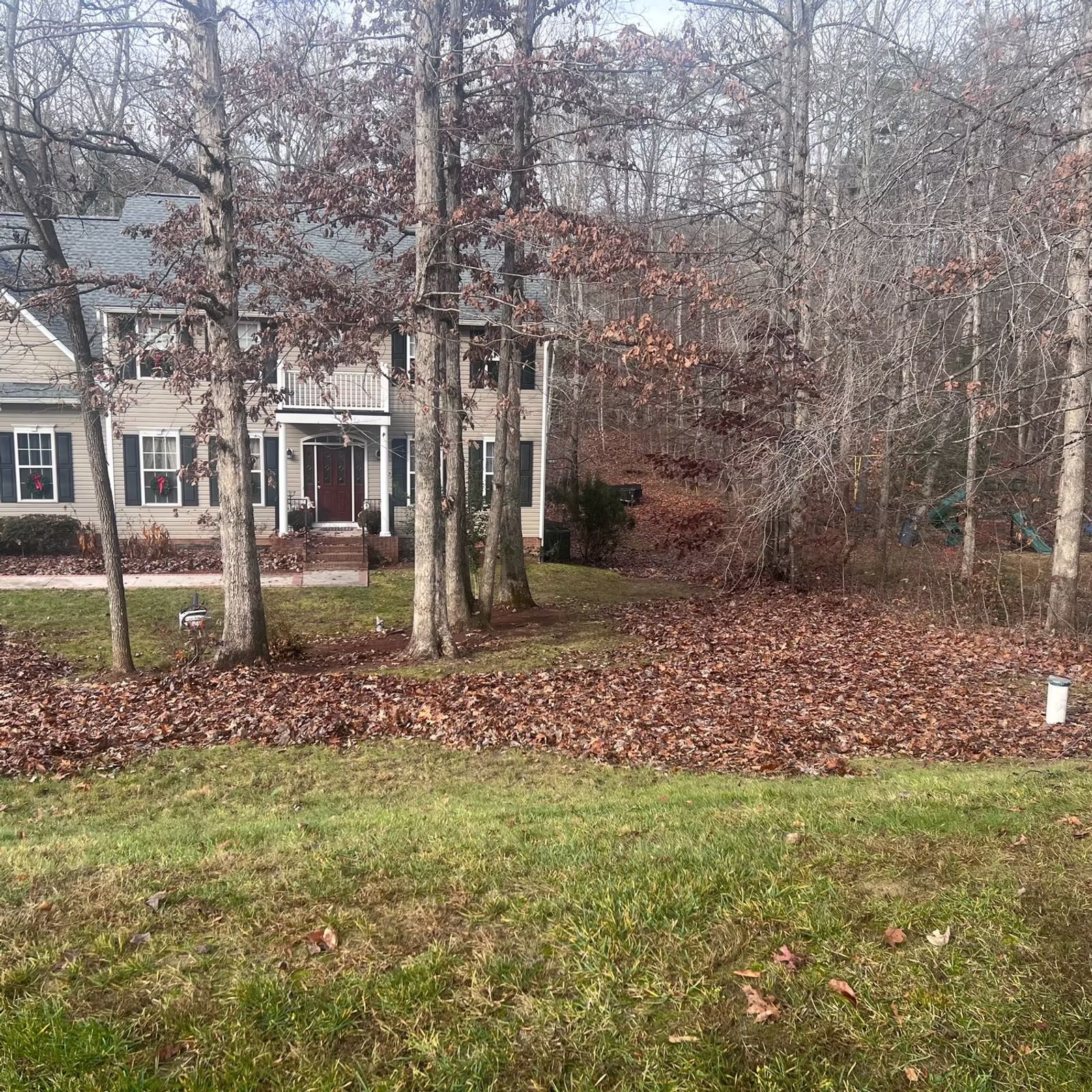 Leaf-covered yard with bare trees and a house in the background on an overcast day