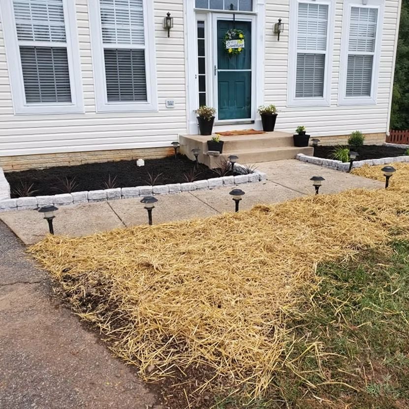 Front yard landscaping with walkway lights, fresh mulch, and a teal front door on a white house.