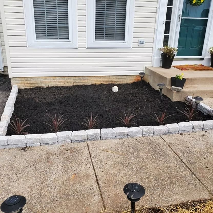 Freshly mulched front garden bed with small plants beside a white house and walkway