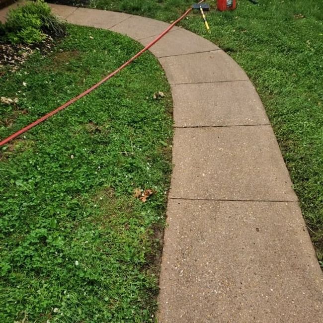 Curved concrete garden path beside green grass, with a red hose crossing it