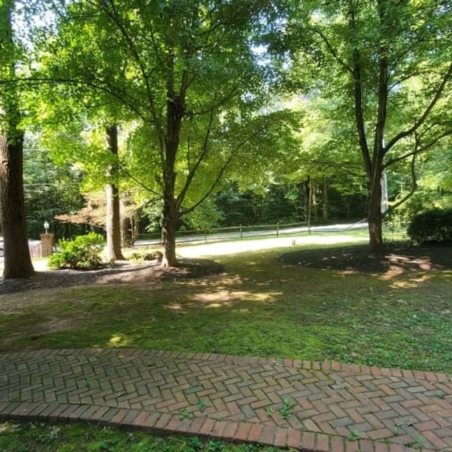Sunlit wooded park with trees, grass, and a brick path in the foreground