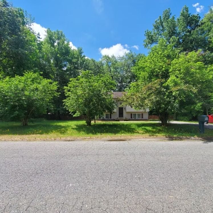 Small house with a front porch nestled among green trees beside a quiet road on a sunny day