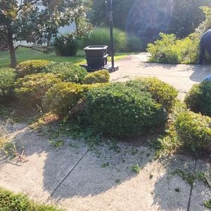 Sunlit garden path with trimmed bushes, a black trash can, and a lamppost.