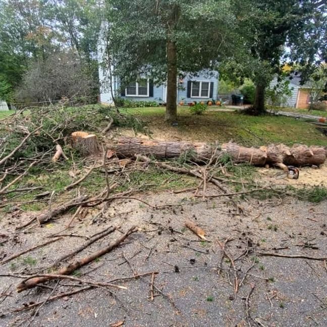 Storm debris and fallen branches scattered across a driveway in front of a house and yard.
