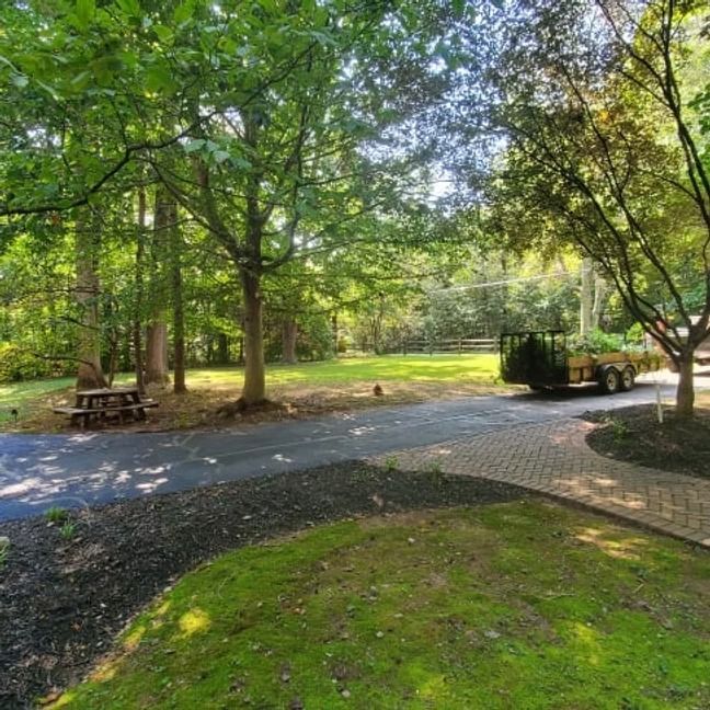 Tree-lined park path with picnic tables and a small tractor in a sunny, grassy clearing