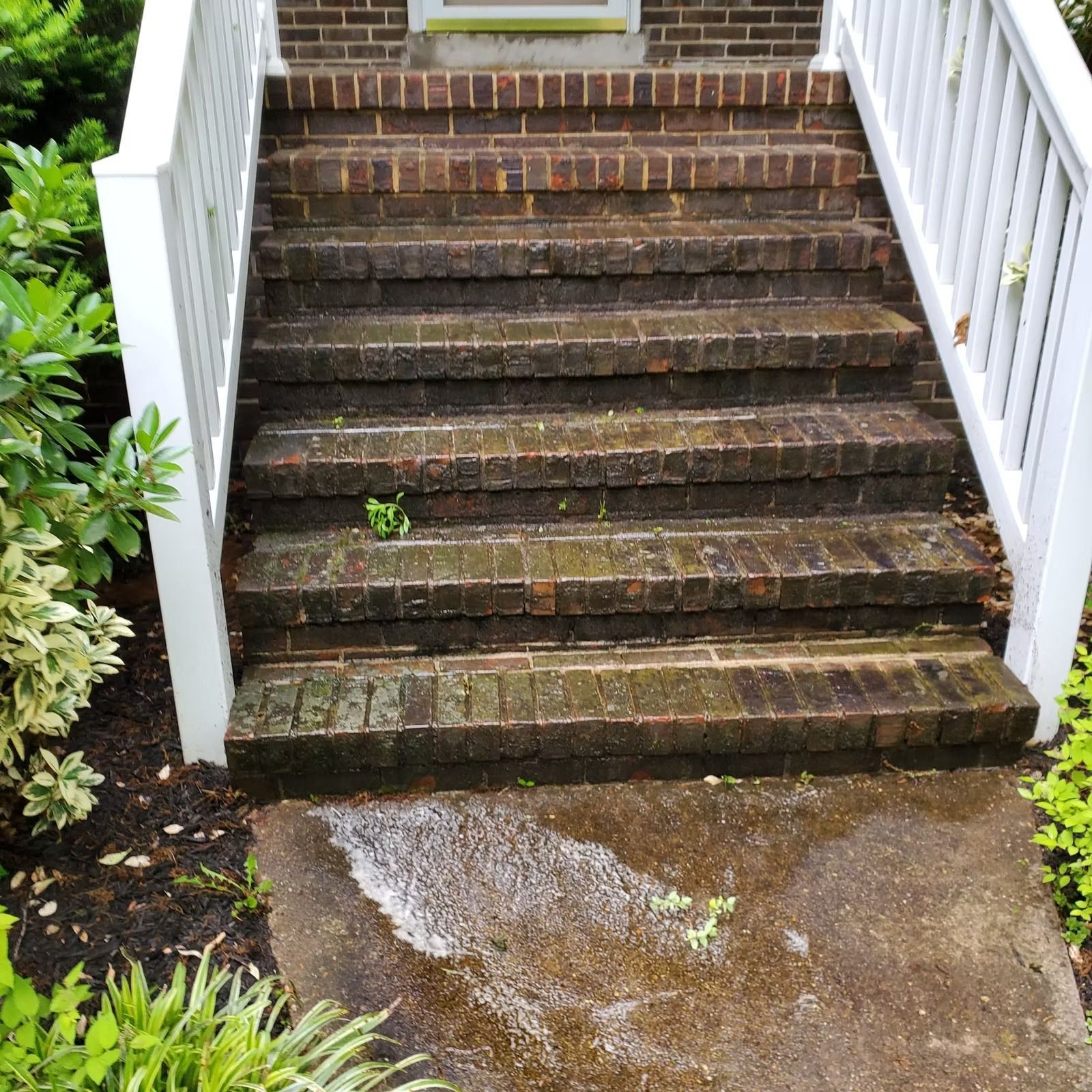 Brick steps between white railings, with a wet concrete landing at the bottom.