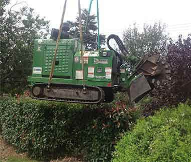 Stump Grinding Machine — Southern Highlands, NSW — Above All Arbor