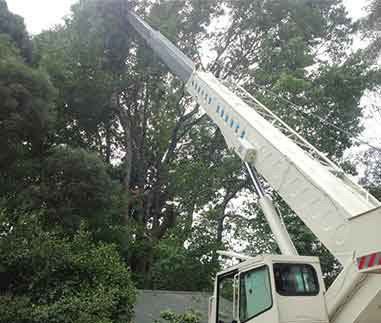 Hydraulic Trucks — Southern Highlands, NSW — Above All Arbor
