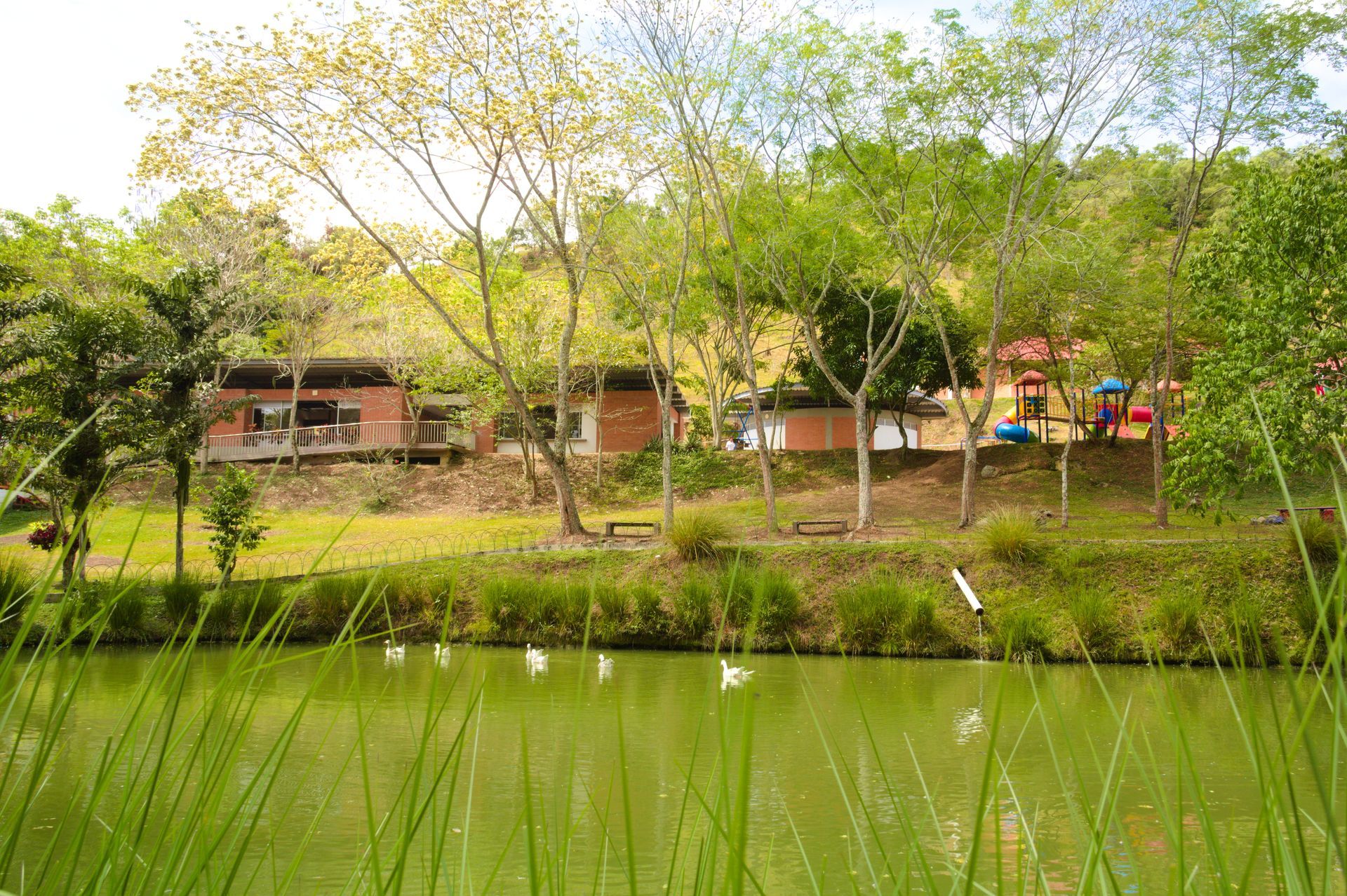 Un lago rodeado de árboles y césped con un colegio al fondo.