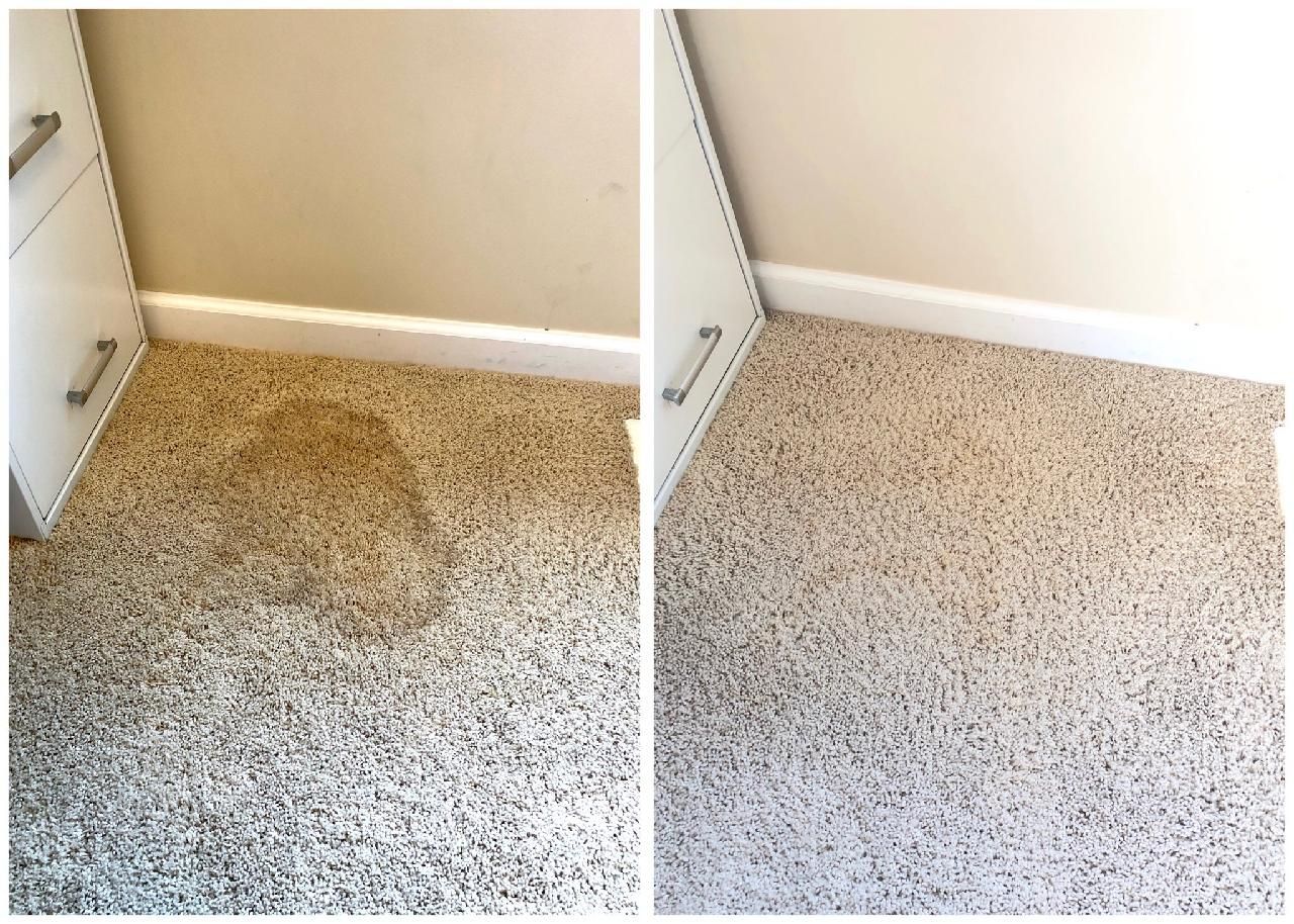  Pet urine staining bedroom carpet, UV-light revealed contamination, East Lansing rental property