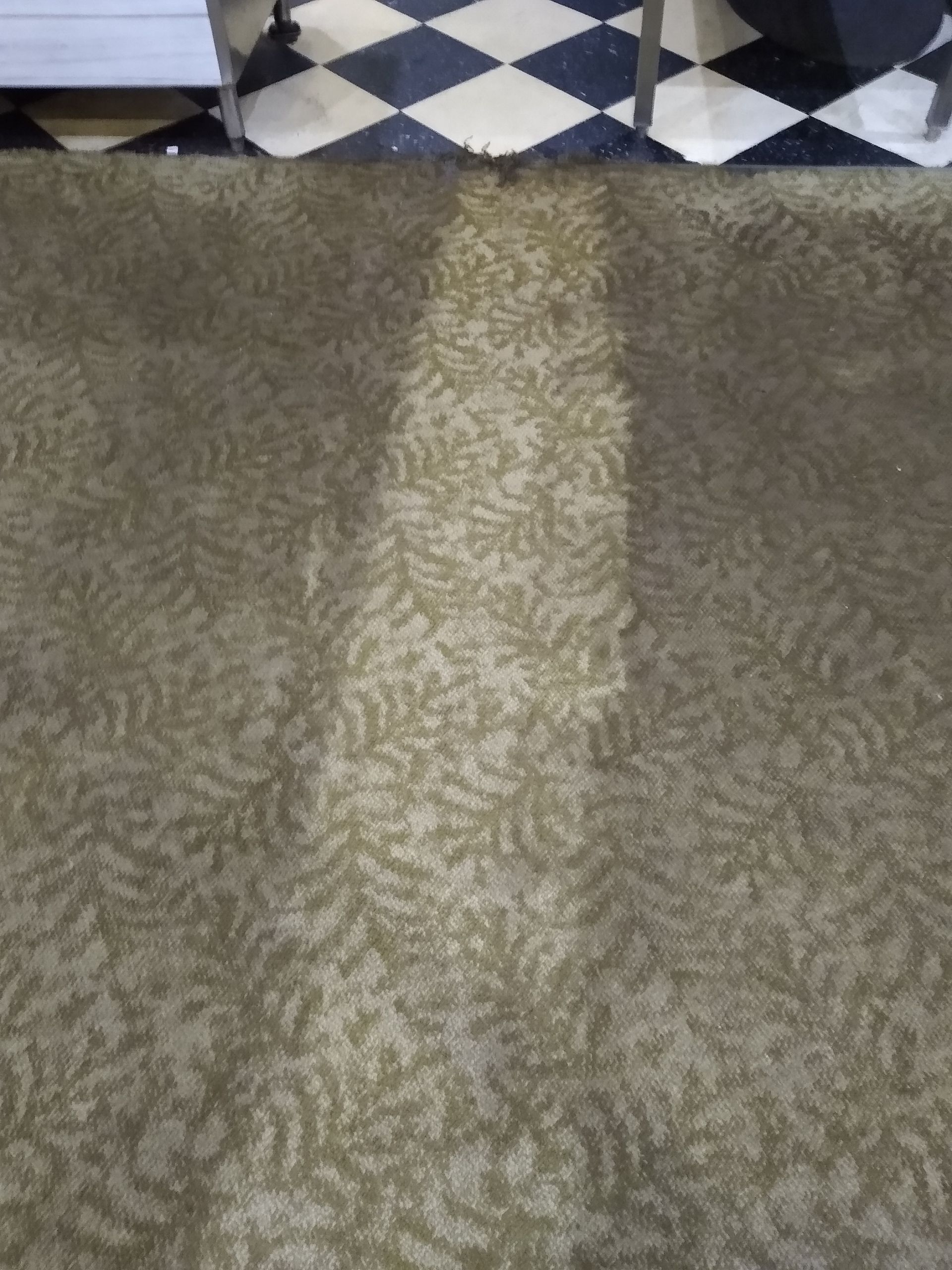 Commercial office carpet — heavy traffic lane soiling, downtown Lansing office building
