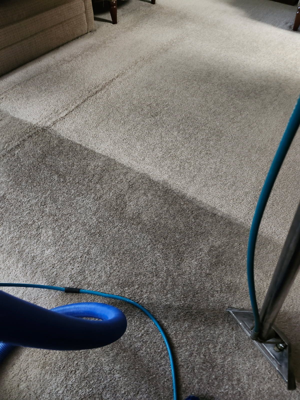 Feldpausch Cleaning Services, LLC providing professional cleaning services in Holt, MI