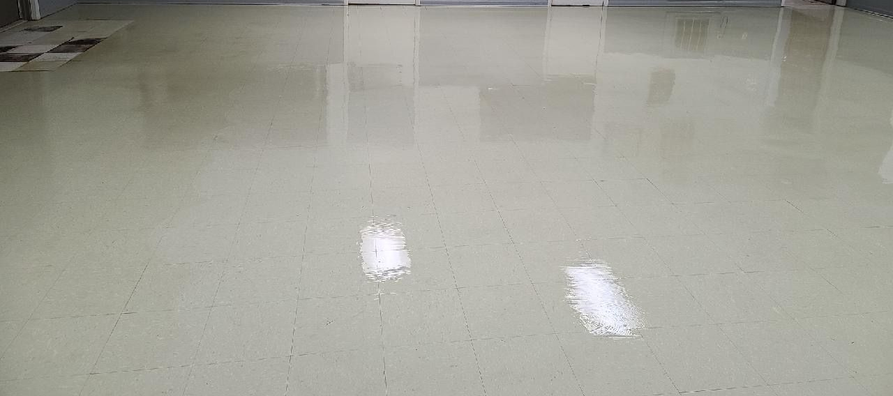 Residential hard floor care services from Feldpausch Cleaning Services, LLC in Mason, MI