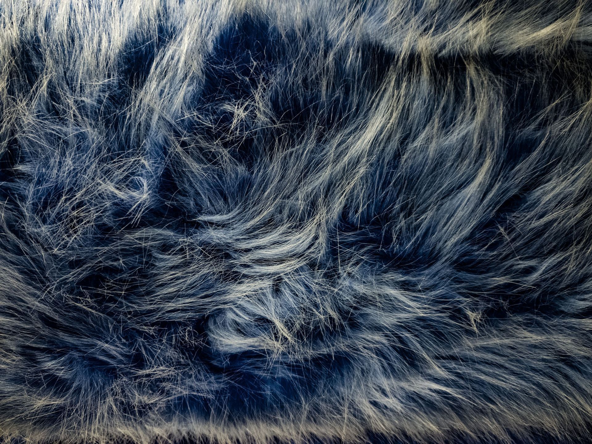 Feldpausch Cleaning Services, LLC restoring the beauty of area rugs in Holt and Lansing, MI