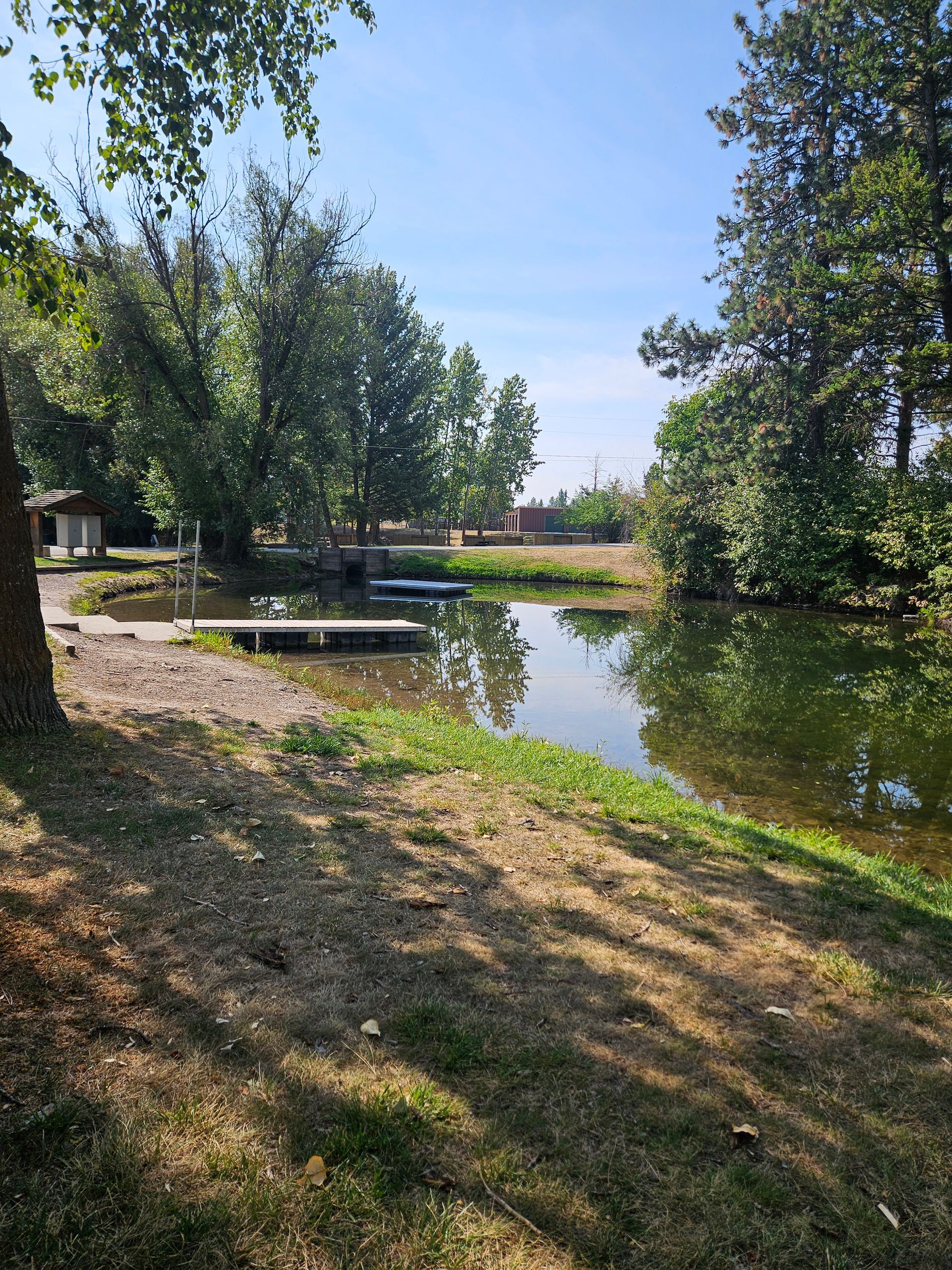 Pond with trees, wooden dock, and small buildings on a sunny day. Green grass and shadows in the foreground.