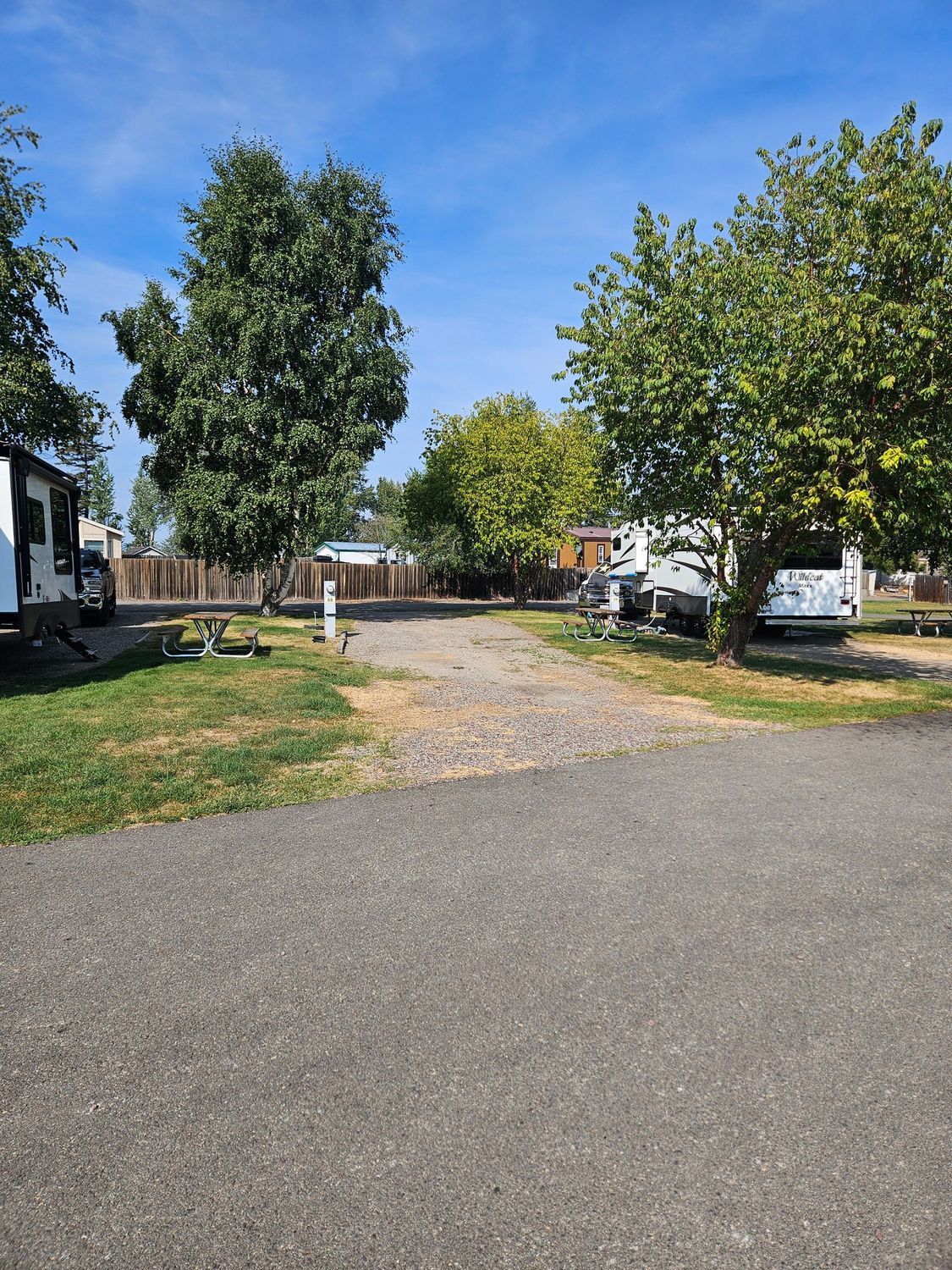 Campsite with RVs, trees, and gravel road under a blue sky.