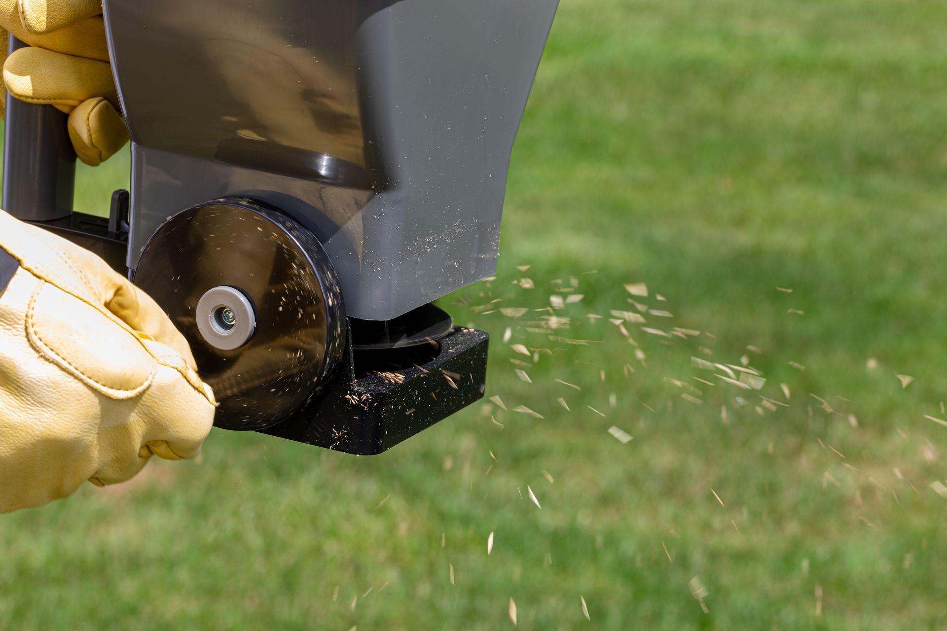 spreading grass seeds with handheld spreader