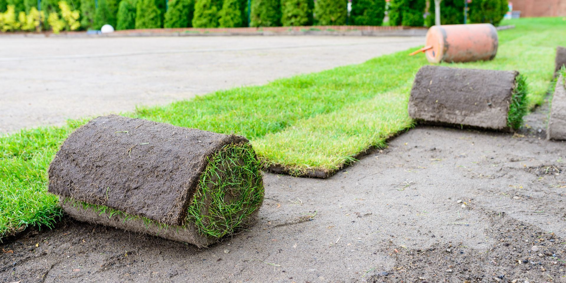 Rolled sod grass strips on a driveway beside a green lawn and trees Rolled sod grass strips on a driveway beside a green lawn and trees