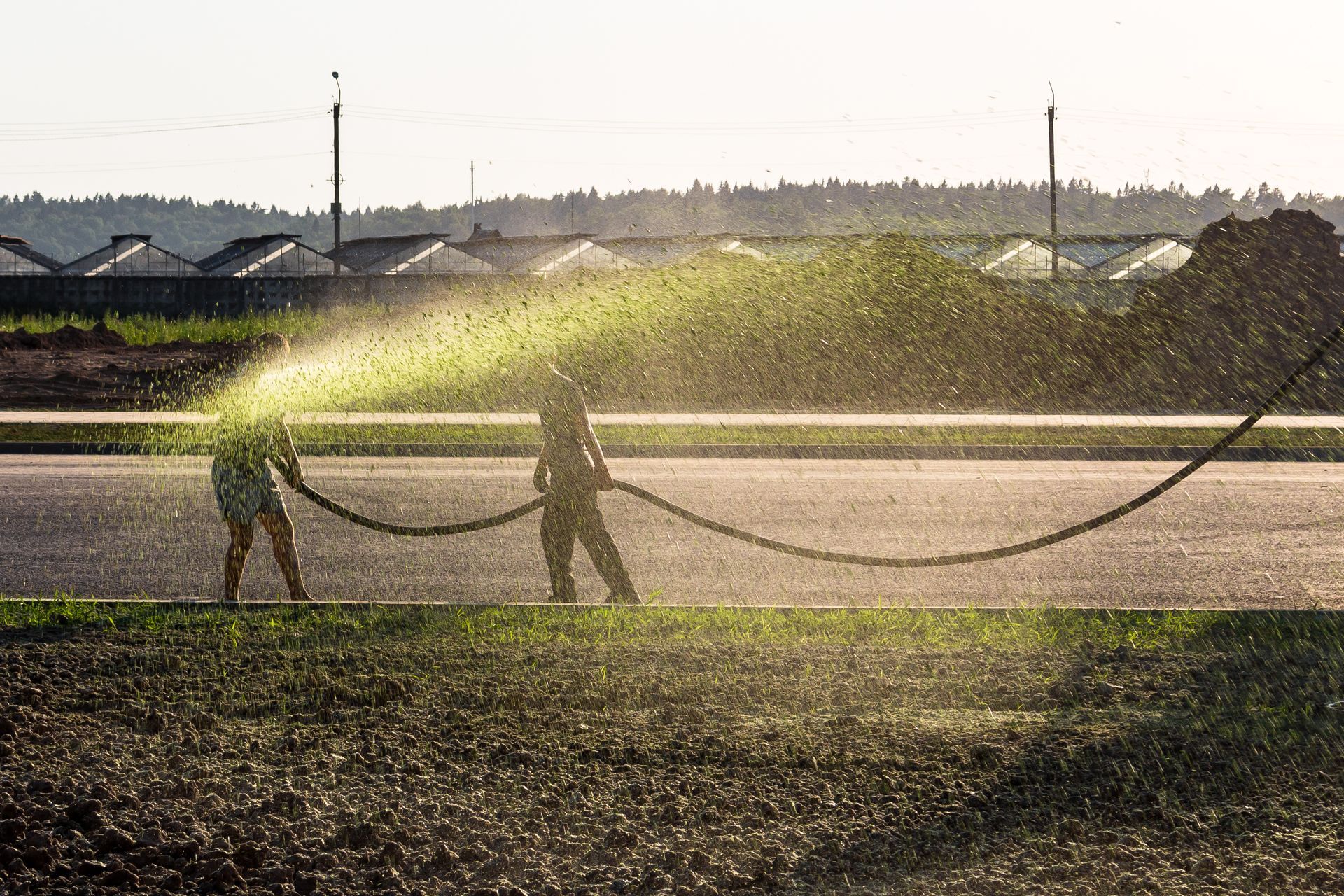 Workers spray green hydroseeding slurry from a hose onto bare soil in a golden backlight