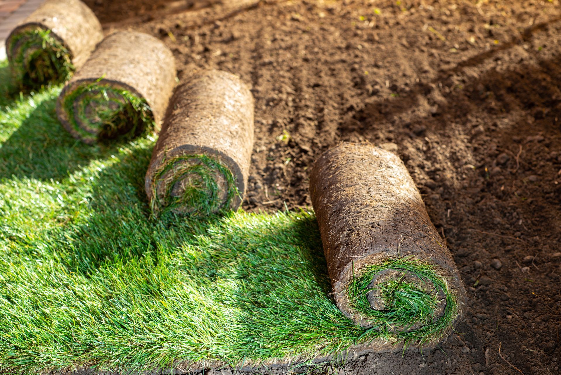 Rolled-up sod laid on brown soil beside a green grass patch Rolled-up sod laid on brown soil beside a green grass patch
