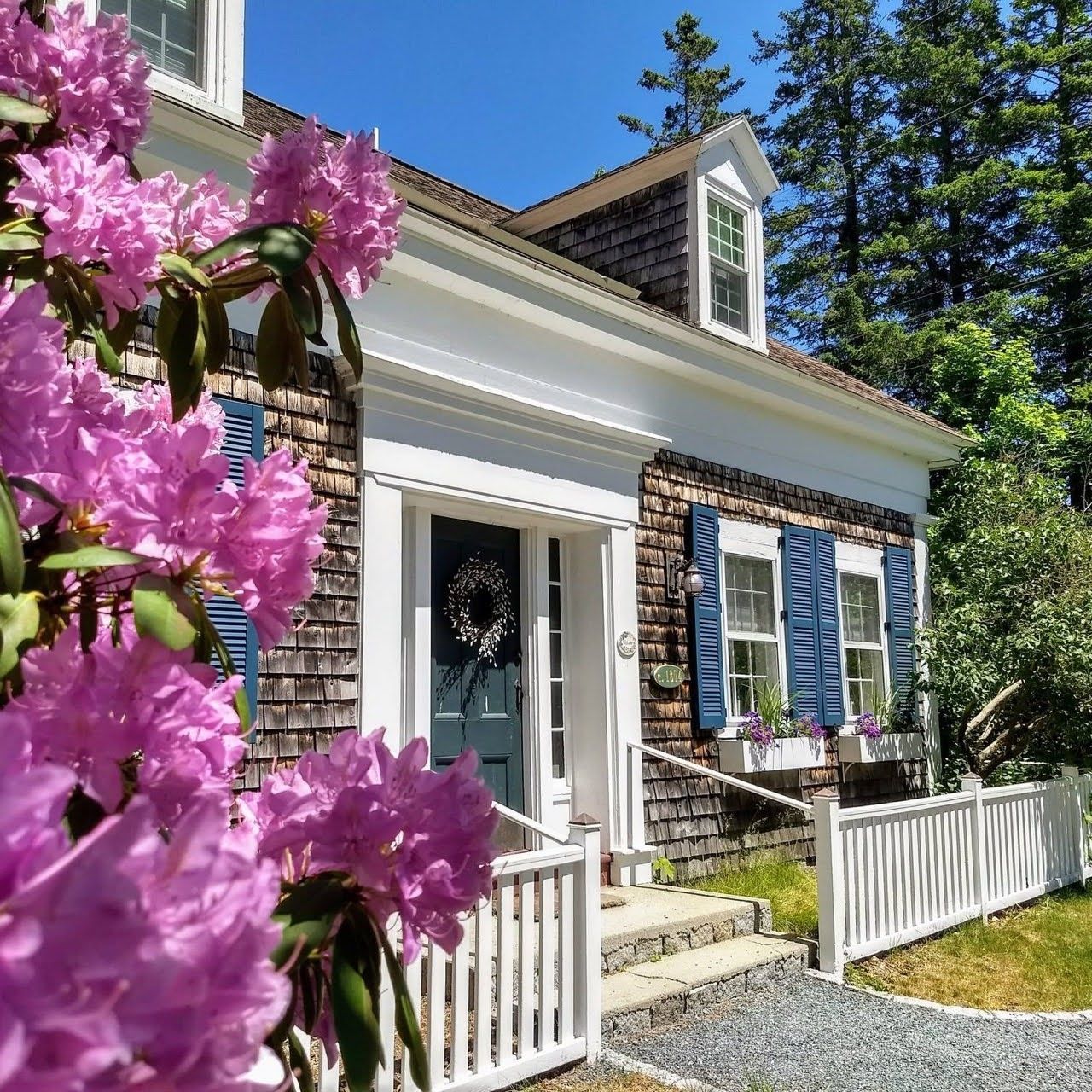 White-trimmed house with blue shutters and fully bloomed pink flowers in the foreground under a bright blue sky.