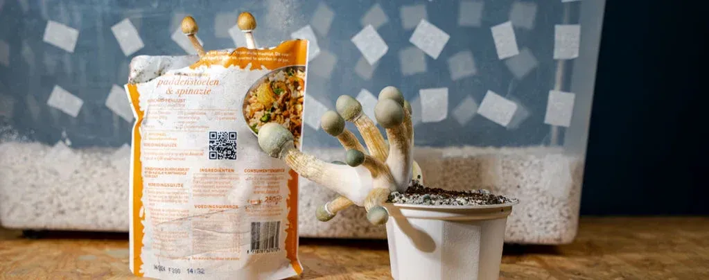 A bag of mushrooms is sitting next to a pot of mushrooms.