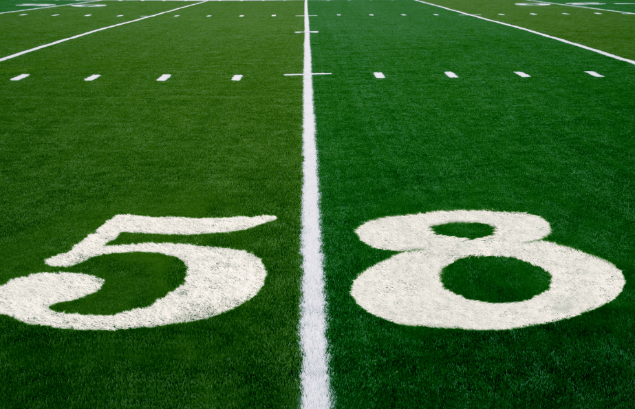 An image of Pet and Playground Artificial Grass in New Brunswick NJ