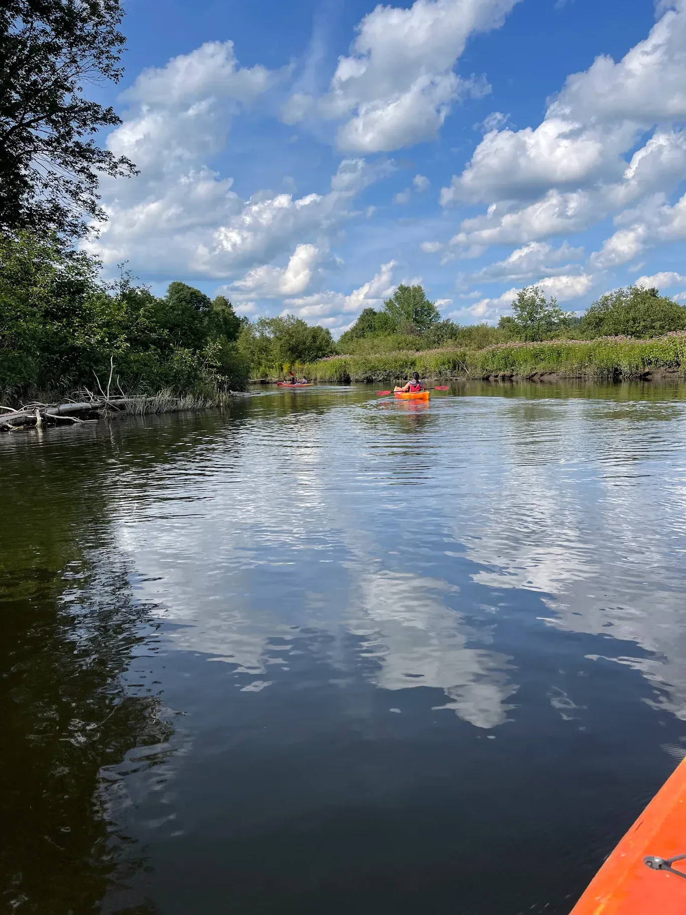 A person in an orange kayak is paddling down a river.