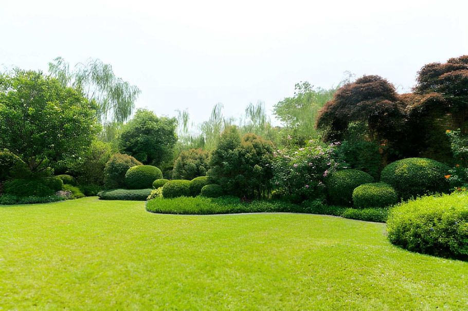Lush green garden with trimmed shrubs, trees, and a bright lawn under a clear sky