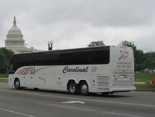 white bus driving down the road, ideal for bus charter services and vibrant travel experiences.