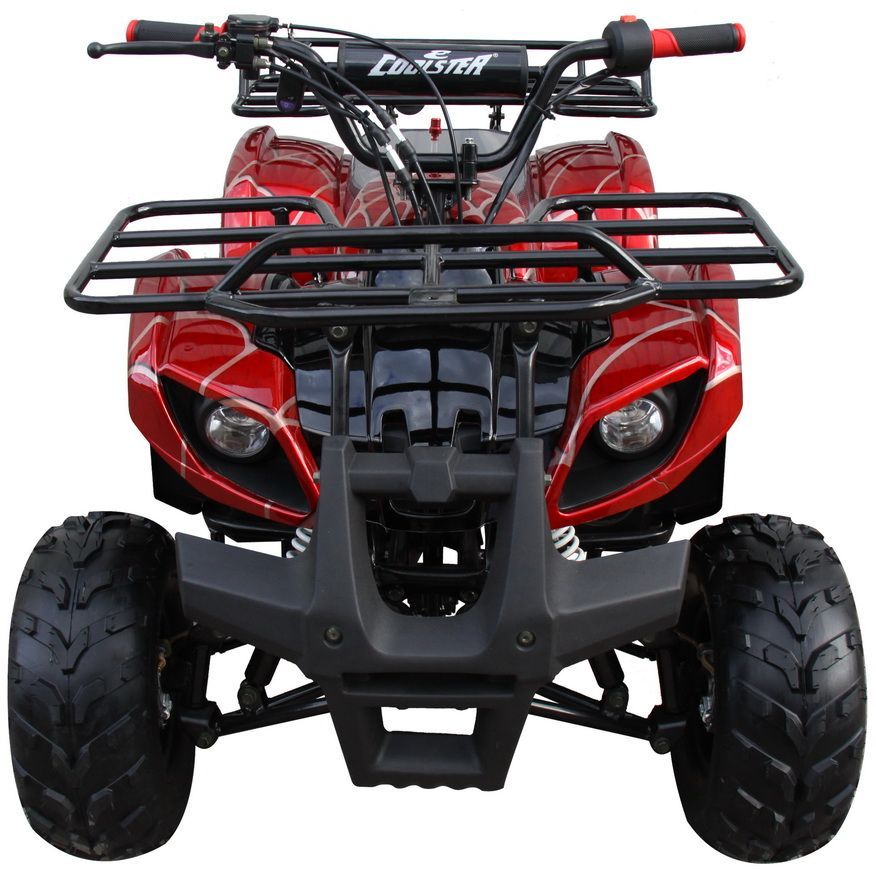 Red ATV with front cargo rack and wide tires, shown from the front on a white background