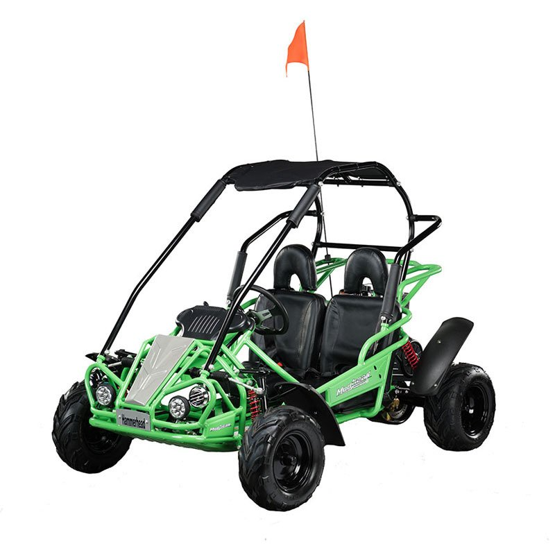 Green and black off-road dune buggy with roll cage and orange flag on white background