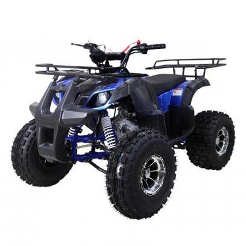 Blue and black all-terrain quad bike with large off-road tires and front cargo racks