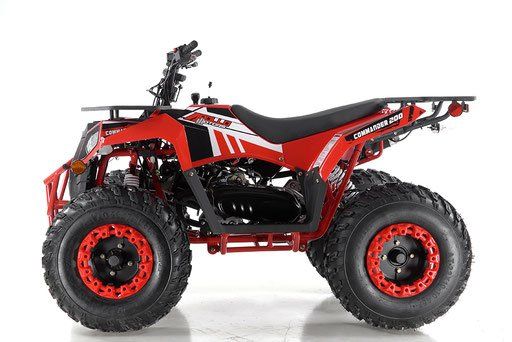 Red and black all-terrain quad bike with large tires on a white background